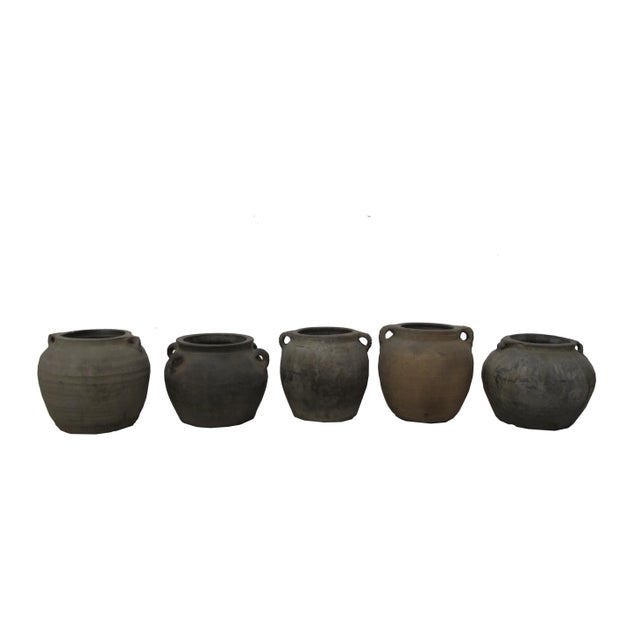 Earthenware Planter Pots - Set of 5 For Sale - Image 10 of 10