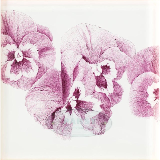 Genre: Contemporary Subject: Nature Medium: Ink, Sandblasted Glass, Surface: Paper Country: United States Dimensions: 20"...