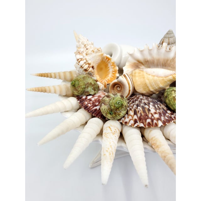 Bowl Seashells Shells For Sale - Image 11 of 14