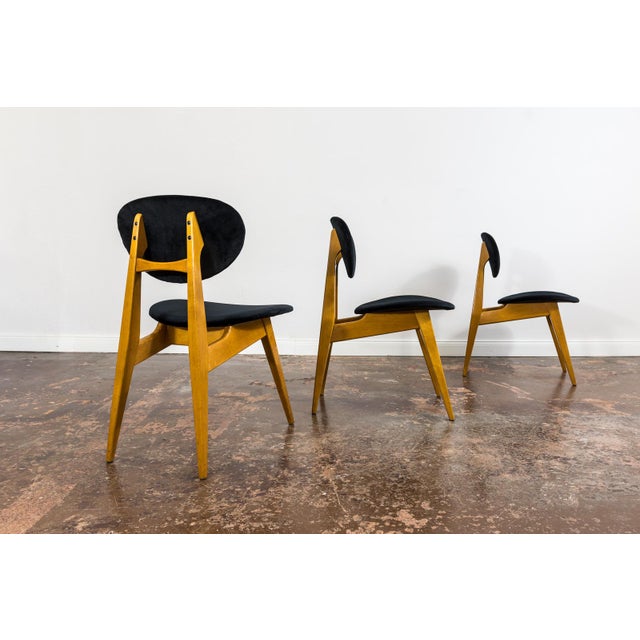 1960s Vintage GFM 22 Chairs by J. Kędziorek, Poland, 1960s, Set of 3 For Sale - Image 5 of 14
