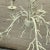 Vintage Coastal Coral Branch Chandelier For Sale - Image 4 of 4