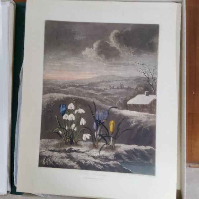 23.5 × 18.5 × 0.125 in Kew Gardens Oppenheimer Editions Fine Art Print by Dr Robert Thornton Limited Edition