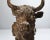 Early 20th Century Cast-Iron Architectural Bull Sculpture, 21"h For Sale - Image 4 of 10