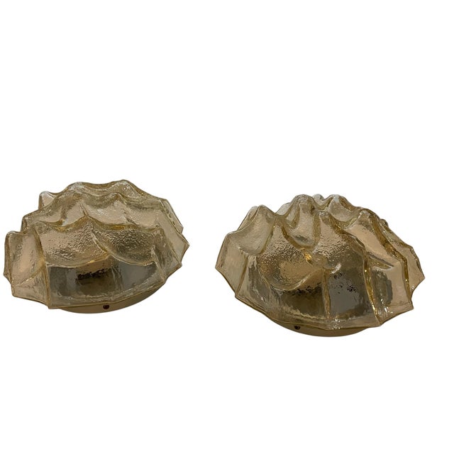 Just purchased in Palermo Sicily-- two Murano glass flush mount light fixtures by Mazzega. The design of the glass is...