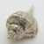 Vintage Italian Genuine Silver 800 Sea Shell Shaped Trinket Box from Florence, 1970s For Sale - Image 6 of 13