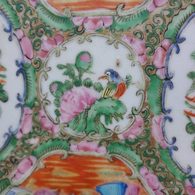 Antique Rose Medallion Plate 9.5" For Sale In New York - Image 6 of 9