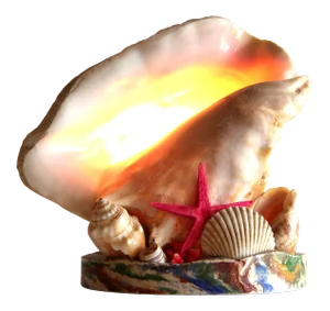 Vintage 1970's Nautical Conch Shell Lamp With Starfish
