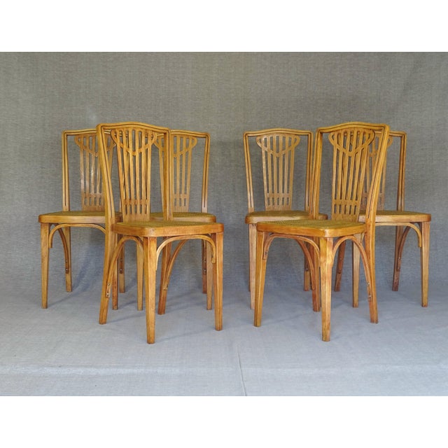 Viennese Secession N°732 Chairs by Michael Thonet for Thonet, 1914, Set of 6 For Sale - Image 14 of 14