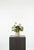 A moody yet fresh composition of burgundy hydrangea, green snowball, and pale lilac. The deeper tones are balanced by soft...