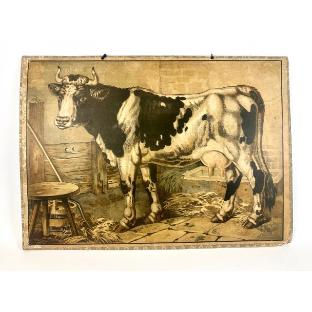 Czech Educational School Board with Cow, 1900s For Sale - Image 12 of 12