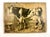 Czech Educational School Board with Cow, 1900s For Sale - Image 12 of 12