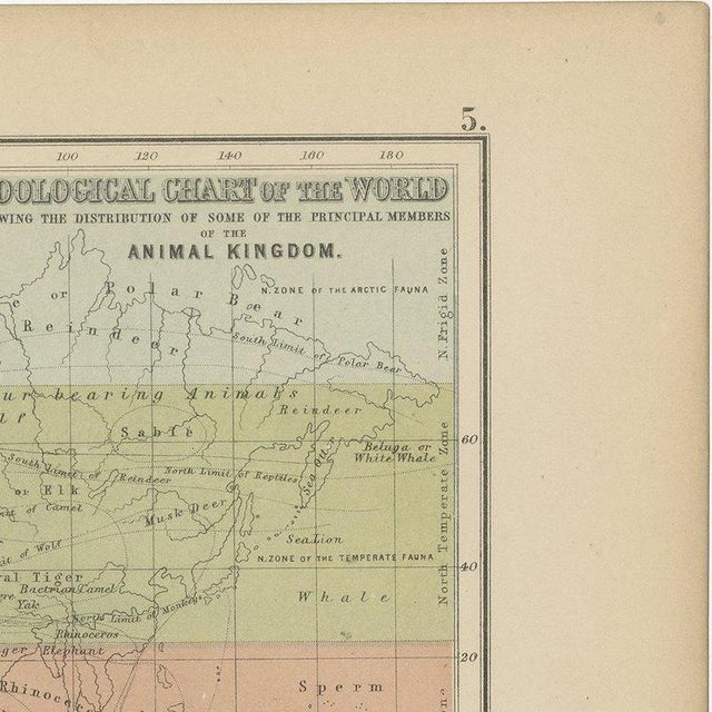Black Antique Chart of the World, 1870 For Sale - Image 8 of 12