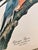 American 1964 Audubon Folio Lithograph Great Bird Paintings – “Passenger Pigeon” 17x14 For Sale - Image 3 of 8