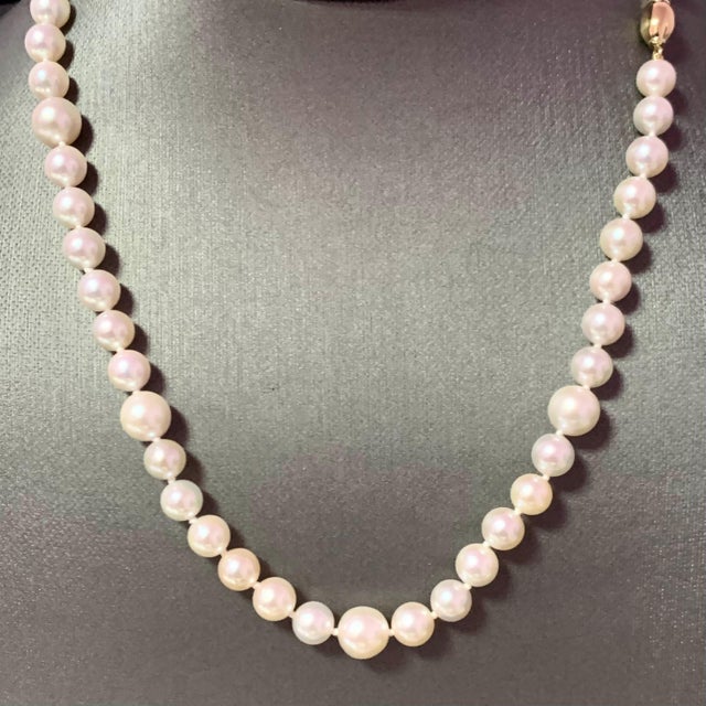 Akoya Pearl Necklace 14k Gold Certified For Sale In New York - Image 6 of 14