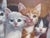 1950s Willi Franken Oil on Canvas Five Kittens For Sale - Image 4 of 9