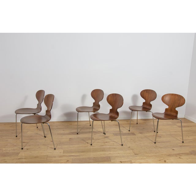 1970s Mid-Century Model 3101 Ant Dining Chairs by Arne Jacobsen for Fritz Hansen, Denmark, 1970s, Set of 6 For Sale - Image 5 of 18