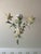 Lovely tole 3 light chandelier. Has been repainted with varying greens to enhance the leaf design. Perfect for a powder...