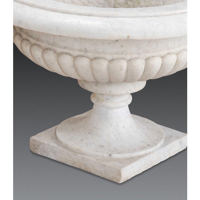 19th Century Italian Marble Tazza Urns, Set of 2 For Sale - Image 16 of 18