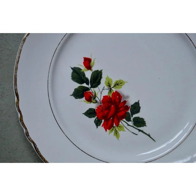 Boho Chic Bohemian Serving Plates, France, 1950, Set of 18 For Sale - Image 3 of 6