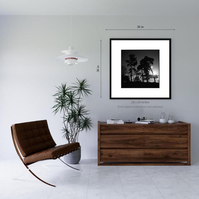 Contemporary Paul Cooklin, Treeline, Sutton Hoo, Suffolk, Edition of 50 For Sale - Image 3 of 5
