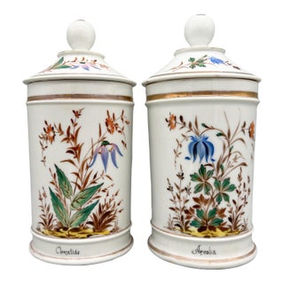 19th Century Hand-Painted Porcelain Apothecary Jars – Clematide & Arcolia – Botanical / European Traditional / Grandmillennial For Sale