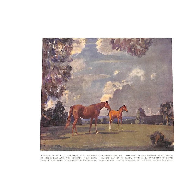 "In My Opinion: Horses and Horsemanship" 1928 Lyon, Major w.e. [Ediited By] For Sale - Image 4 of 12