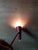 Stilnovo Vintage Wall Light from Stilnovo, 1950 For Sale - Image 4 of 9