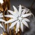 Brown Floor Lamp from Hans Kögl, Germany, 1990s For Sale - Image 8 of 11