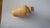 19th Century 19th C Egyptian Revival Beige Alabaster Flask - 1 Pc For Sale - Image 5 of 11