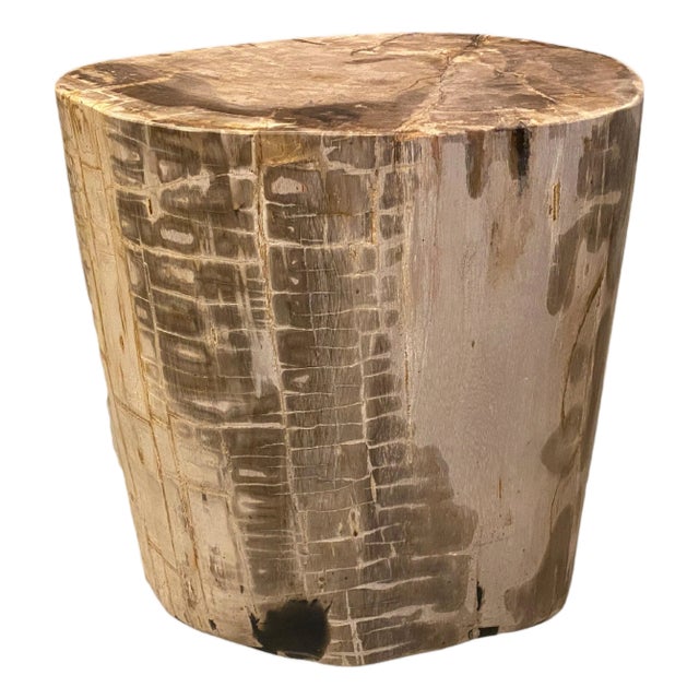 Andrianna Shamaris Large Ancient Petrified Wood Side Table For Sale