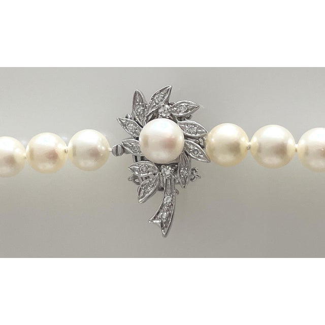 1950s Akoya Pearls With 14k White Gold & Diamond Clasp 31" For Sale - Image 4 of 8