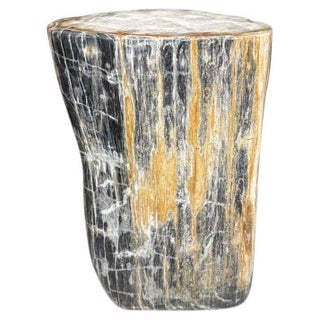 Andrianna Shamaris Modern Organic Petrified Wood Side Table For Sale