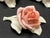 Ceramic Vintage Porcelain Roses by Karl Ens Volkstedt Germany Pre-Wwii - 5pc Set For Sale - Image 7 of 8
