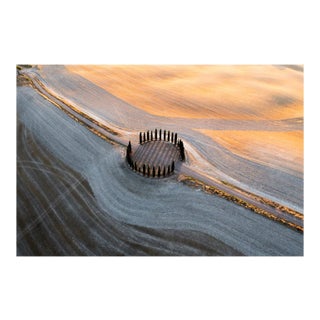 Marco Bottigelli, Country Road and Cypresses Grove, Tuscany, Italy, Photograph For Sale