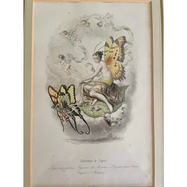 French Provincial Mid 19th Century “Les Fleurs Animées” Original Hand-Painted Antique French Lithographs 1846, Set of 6, Framed For Sale - Image 3 of 12