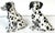 Pair of Italian Hollywood Regency Hand-Painted Pottery Dalmatian Puppies, 1970s For Sale - Image 9 of 18