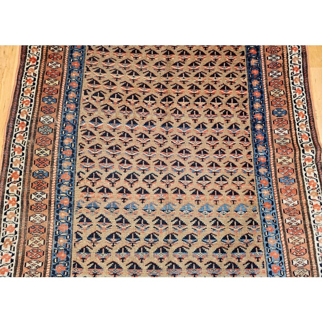 Vintage Persian Kurdish Bidjar Gallery Rug, Hand-Knotted Wool, Allover Paisley Design, Camelhair & Blue, 5x12 For Sale - Image 11 of 16