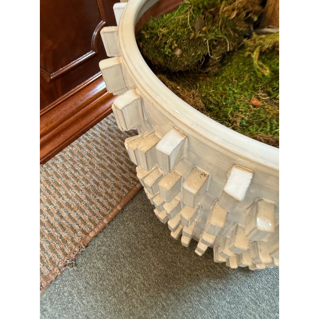 New Growth Design Banyan Tree With Pot For Sale In San Francisco - Image 6 of 12