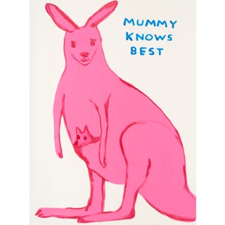 David Shrigley Kangaroo Print For Sale