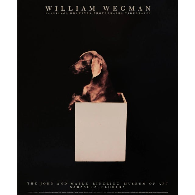 1980s 1987 American Exhibition Poster - William Wegman, the John and Mable Ringling Museum of Art For Sale - Image 5 of 5