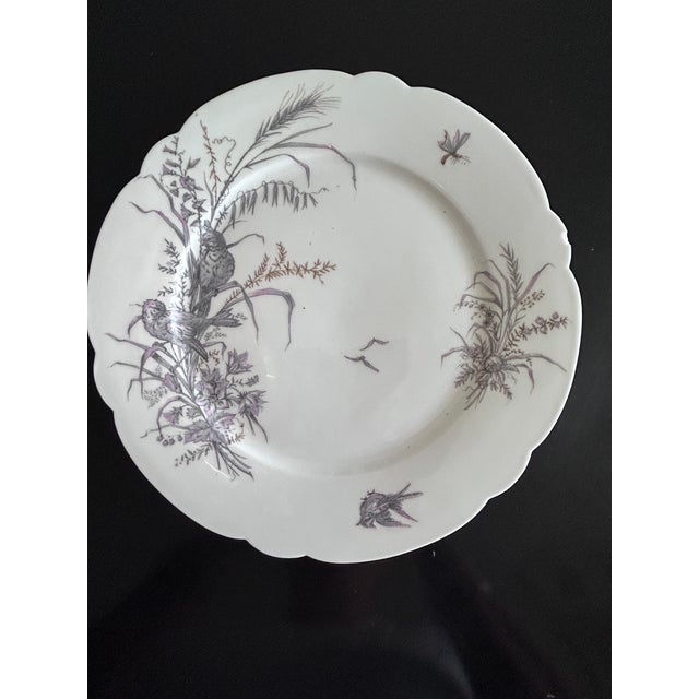 Ceramic Porcelain Plates and Platter by Ch Pillivuyt & Cie, 1890s, Set of 8 For Sale - Image 7 of 17