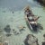 Snorkelling in the Shallows 1959 A group of people snorkelling off a small boat in Malta, circa 1959. Photo by Slim Aarons...