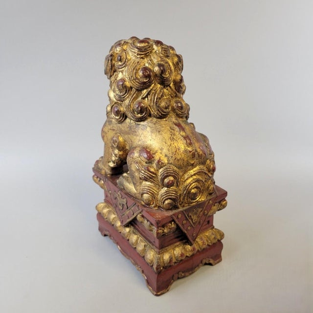 Early Giltwood Chinese Guardian Lion Foo Dog Architectural Carving – 12" High For Sale - Image 9 of 12