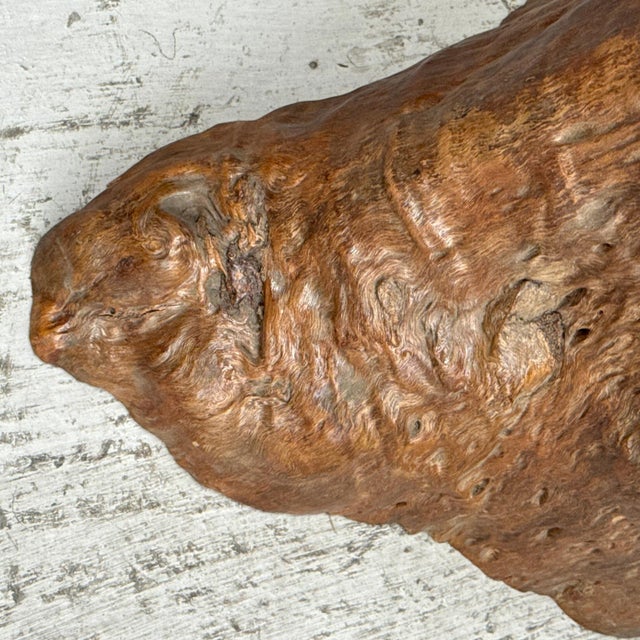 Wood Mid 20th Century Large Free-Form Brown Rustic Tree Trunk Side Pedestal Table For Sale - Image 7 of 8