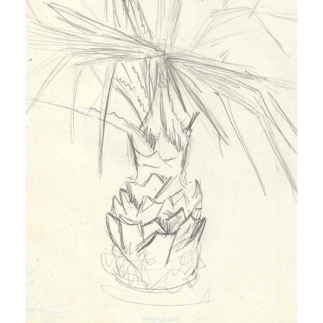 Grace Spongberg (American, 1906-1992) graphite on paper, estate stamp on reverse. . Grace Spongberg grew up on W. 102nd...