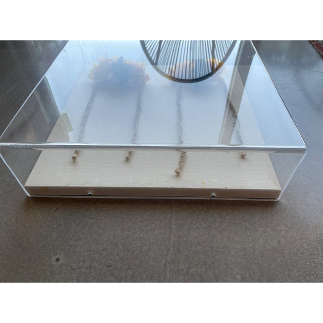 1900 - 1909 Vintage Mid-Century Urubu-Ka’apor Feather Armbands in Museum Acrylic Case For Sale - Image 5 of 12