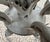 Gray Vintage Gray 5-Light Hollywood Regency Palm Tree Chandelier Attributed to Hans Kogl For Sale - Image 8 of 11