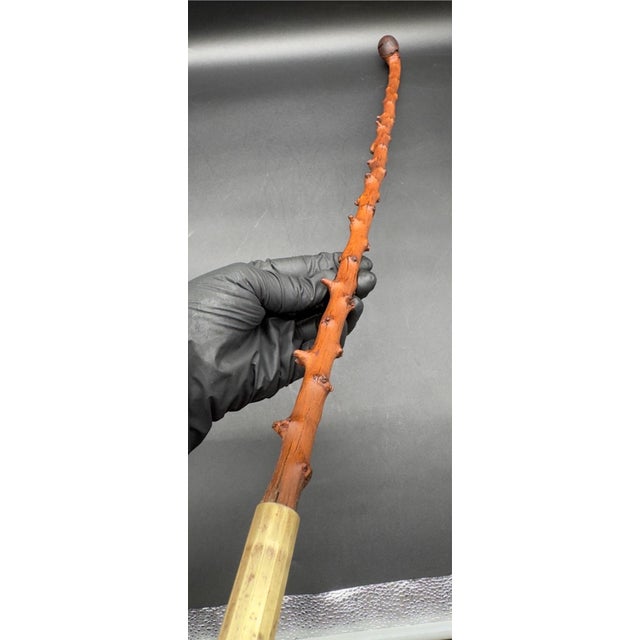 Brown Antique Irish Blackthorn Burled Wood Shillelagh For Sale - Image 8 of 15