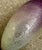 Miniature Antique Japanese Meiji Era Cloisonné Enamel Ginbari Vase in Silver With Irises, Signed For Sale - Image 4 of 12