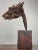 Contemporary Large Vintage Found Abstract Horse Head Driftwood Sculpture on Stand For Sale - Image 3 of 13